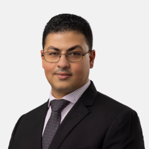 Dr. Mahmood Majdi
