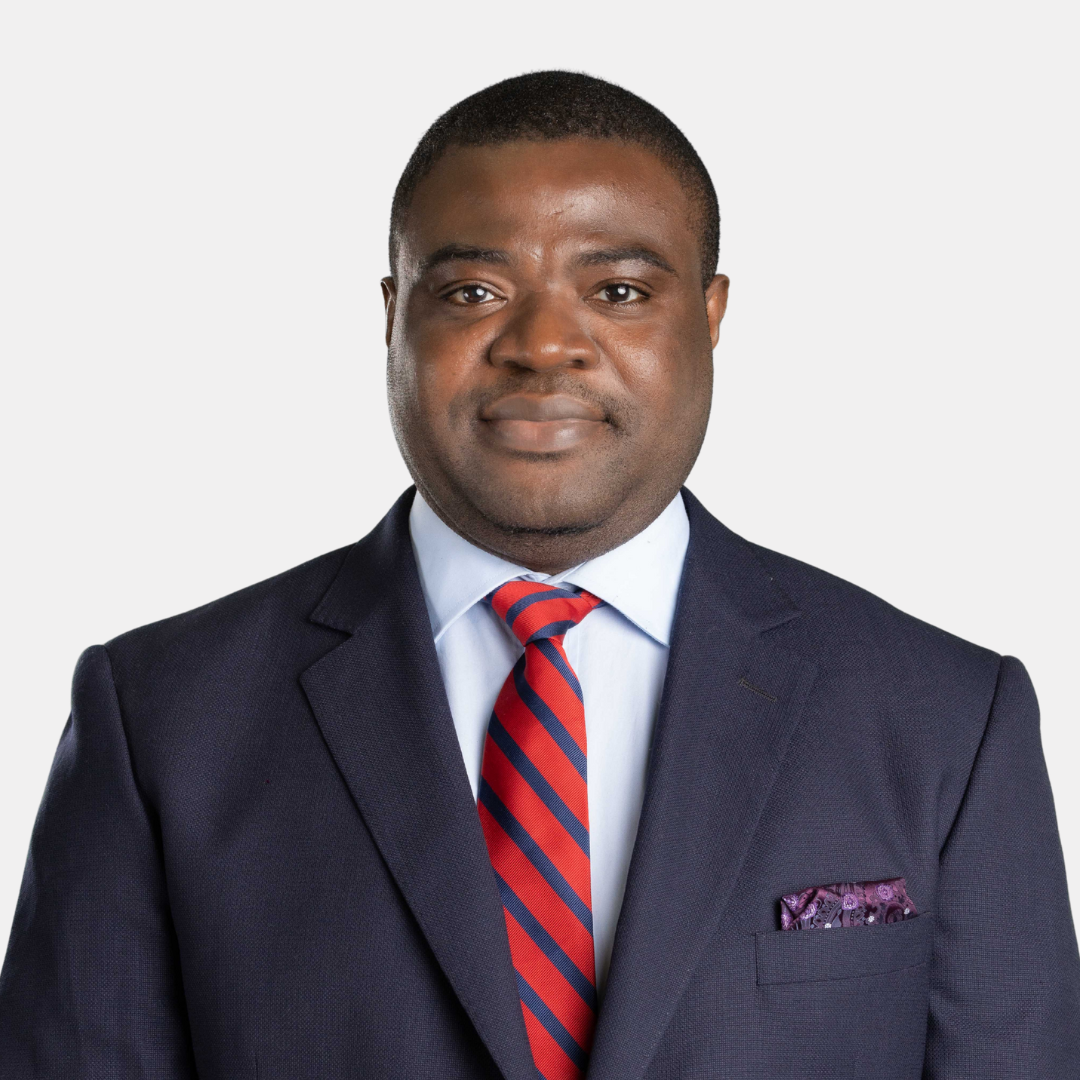 Prof. Damilola S<br>Olawuyi SAN